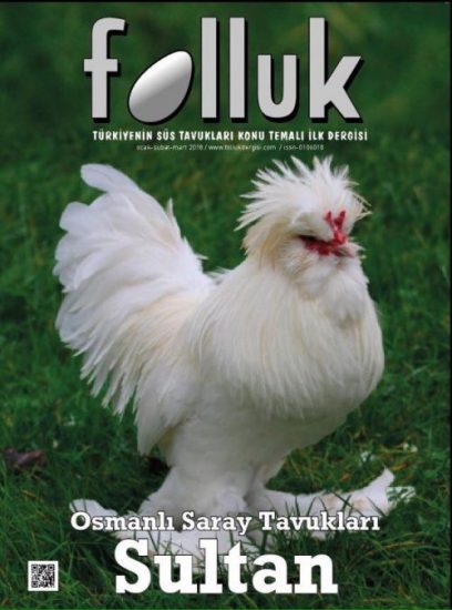 Folluk Dergisi